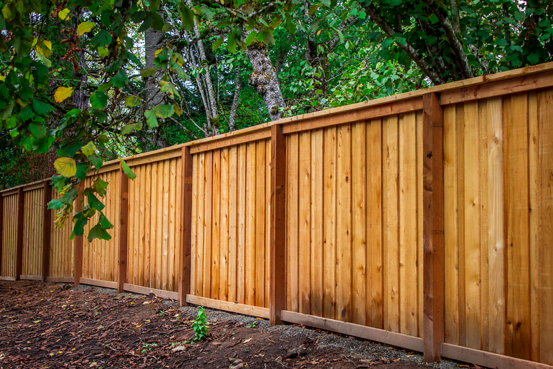 Fence company in Los Angeles - Publіkatsіia-v-blozі-globusgatescom-10062024-08 54 45-85278 7. Choose the Right Paint or Stain